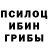 Галлюциногенные грибы мицелий Tatyana Gnatyshnyak