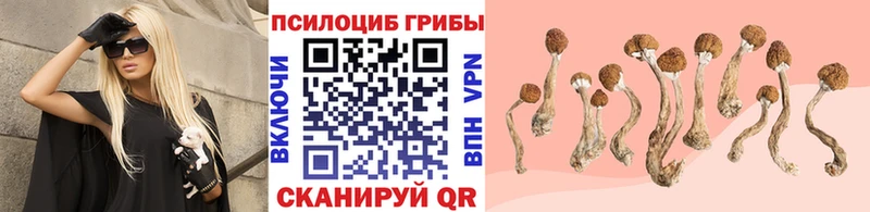 наркота  Калининск  Галлюциногенные грибы мицелий 